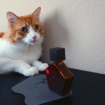 Rusty and Tauer Perfumes Une Rose Vermeire