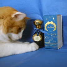 Rusty and Annick Goutal Nuit Etoilee