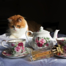Rusty and L'Artisan Tea for Two