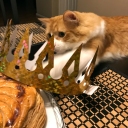 Rusty and Galette des Rois