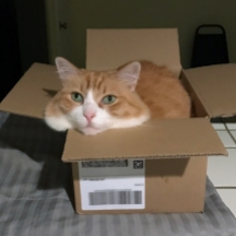 Rusty in a Box