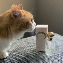 Rusty and Annick Goutal Petite Cherie