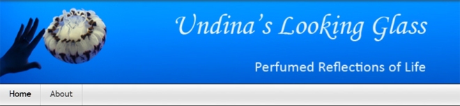 Undina's Looking Glass Blog Header